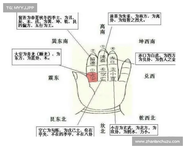 东超一词的含义解析及实际使用方法全方位详解指南