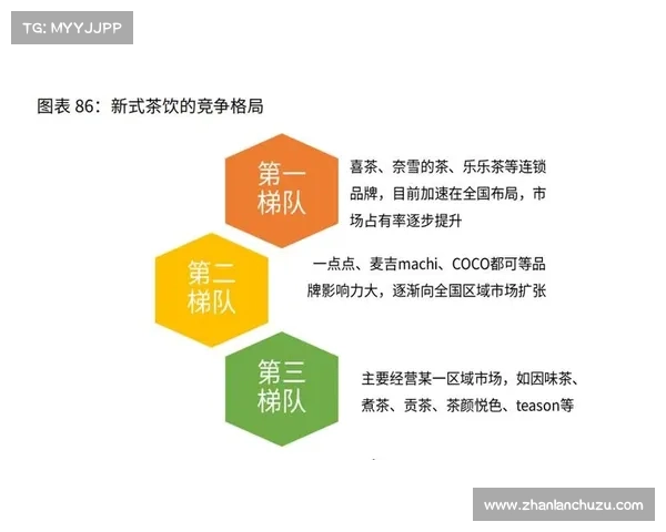 全面解析澳洲杯实力格局与赛事背景历史发展关键脉络深度解读全景 全面解析澳洲杯实力格局与赛事背景历史发展关键脉络深度解读全景